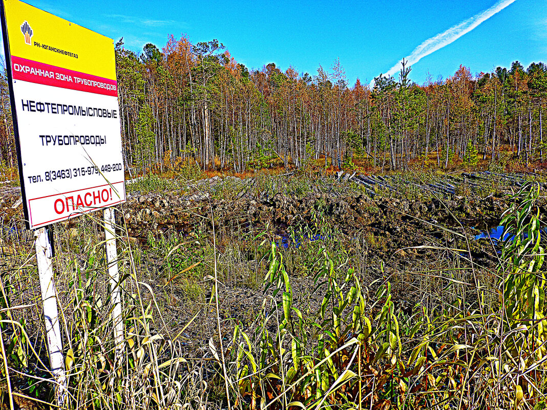 Техногенное!... - Владимир 