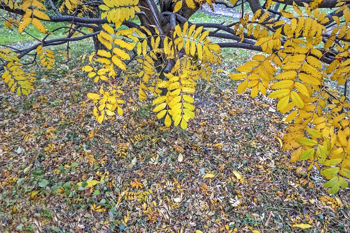 Конец октября - Валерий Иванович