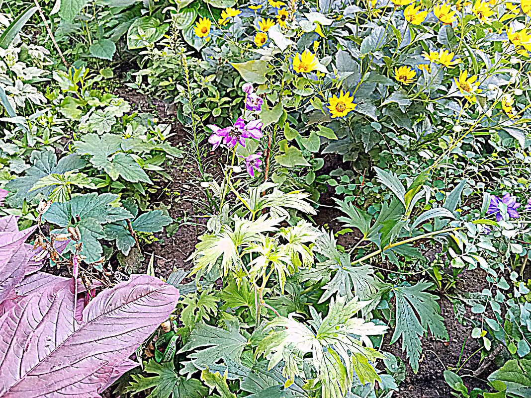 Цветы. - Владимир Драгунский