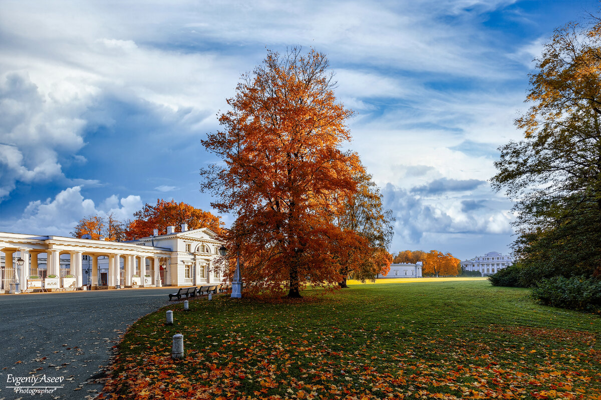 Осень на Елагином - Евгений 