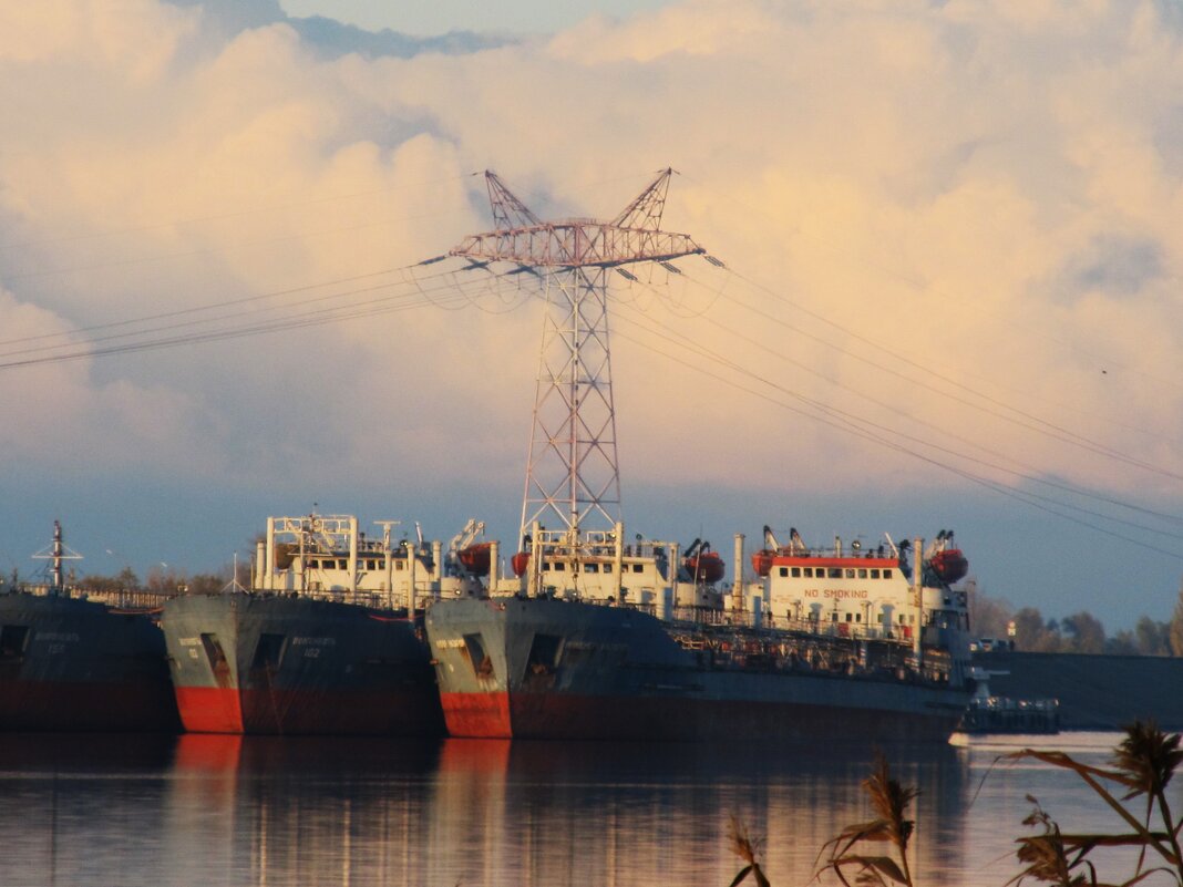 пастух и его стадо - Елена Шаламова