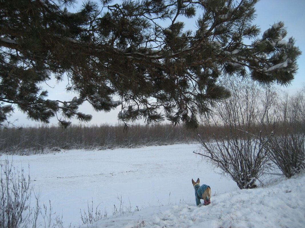 Прогулки по островам - Anna Ivanova