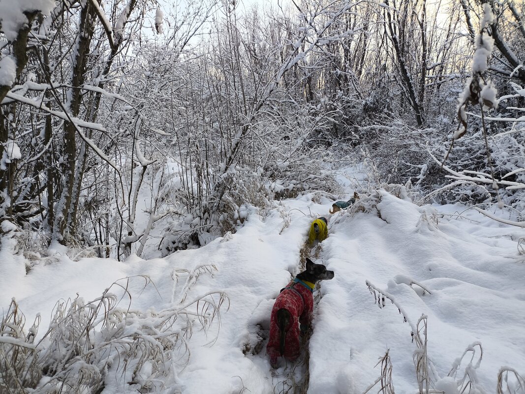 Прогулки по островам - Anna Ivanova