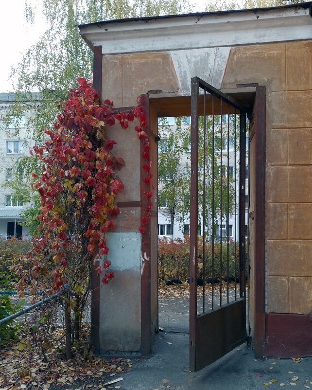 *** - Валентина Береснева