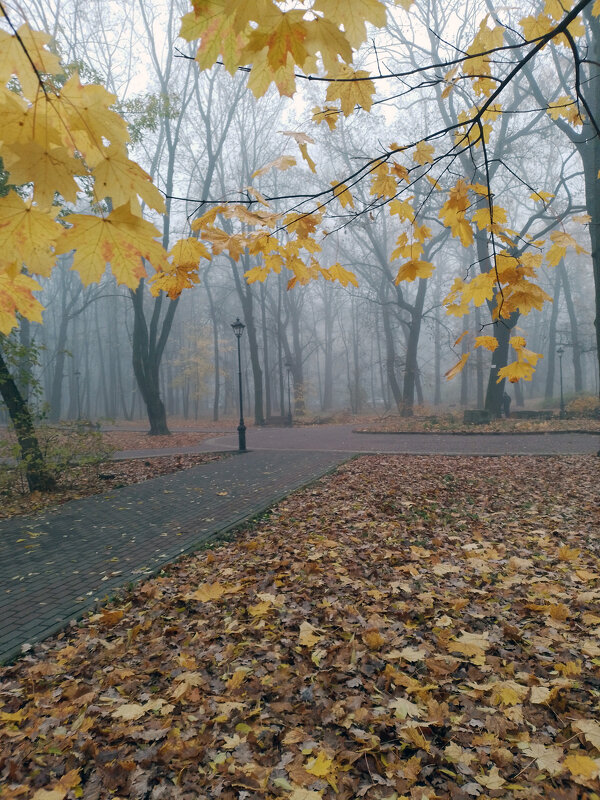 *** - Валентина Береснева