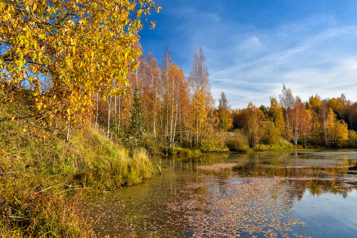 Октябрь - Oleg S 