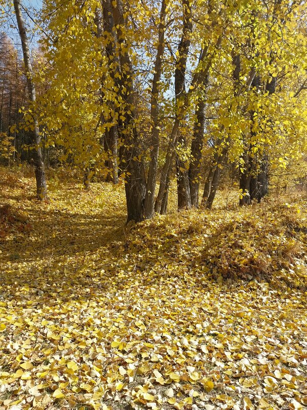 Талгар. - Murat Bukaev 