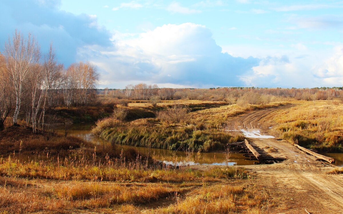 Мост - Сергей Никифоров
