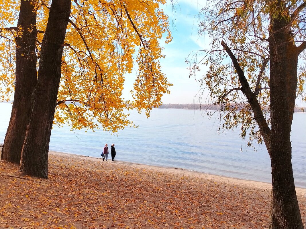 На Волге осенью - Надежда 