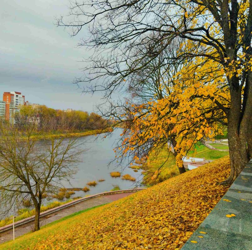 Река Западная Двина - Галина Бобкина