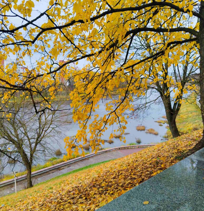 На исходе октября - Галина Бобкина