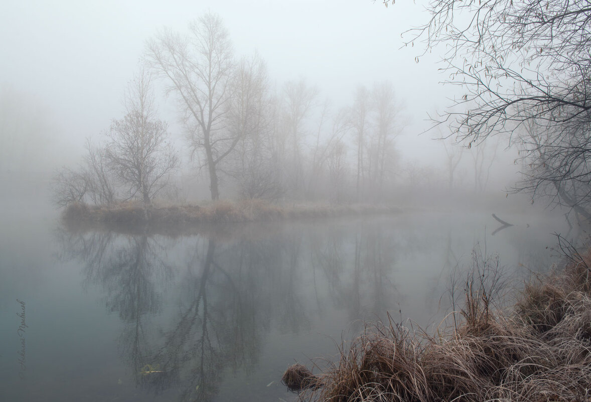 Утро туманное. - Николай Привалов