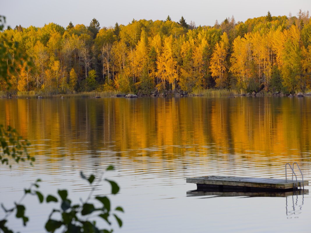 Вэллен переодевается - liudmila drake
