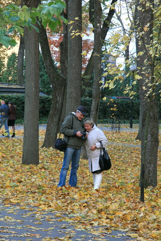 Осенние кадры. - Сергей Рожков