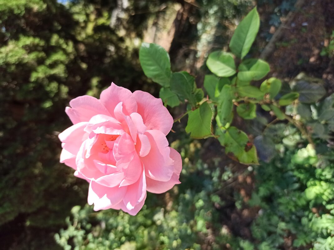 Осеннее прости - Галина 