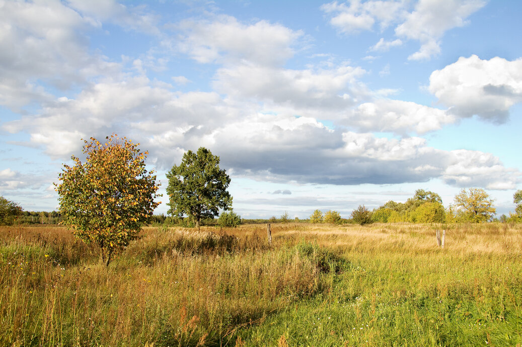 Осенний день. - Сергей Рожков