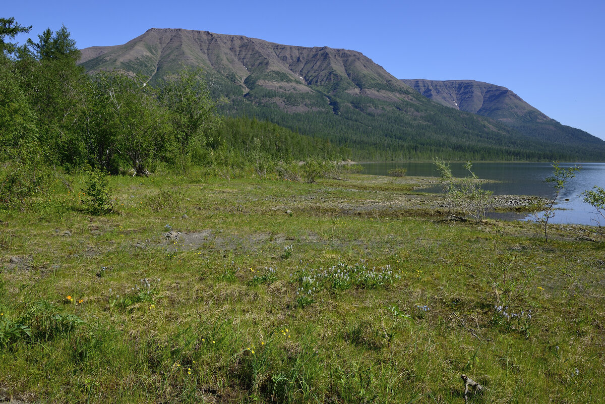 ** - Александр Хаецкий