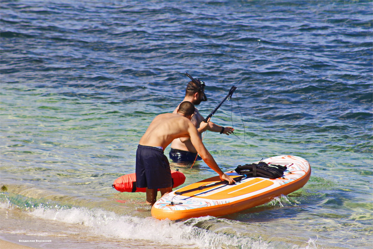 События / Репортаж - Владислав Воровский 