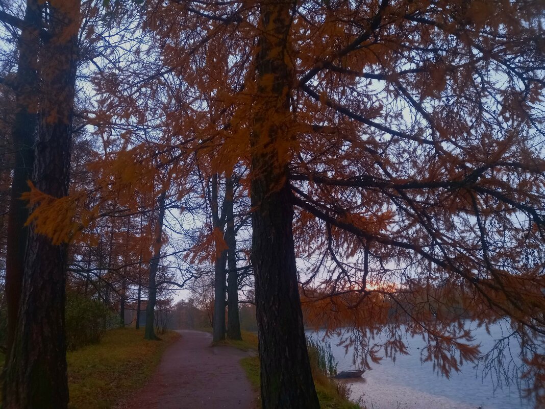 Рассвет - Сапсан 