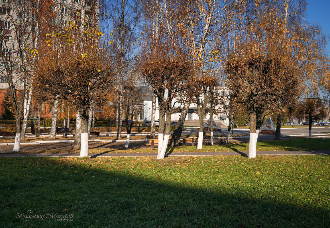 "В осенних прическах на бульваре"© - Владимир Макаров