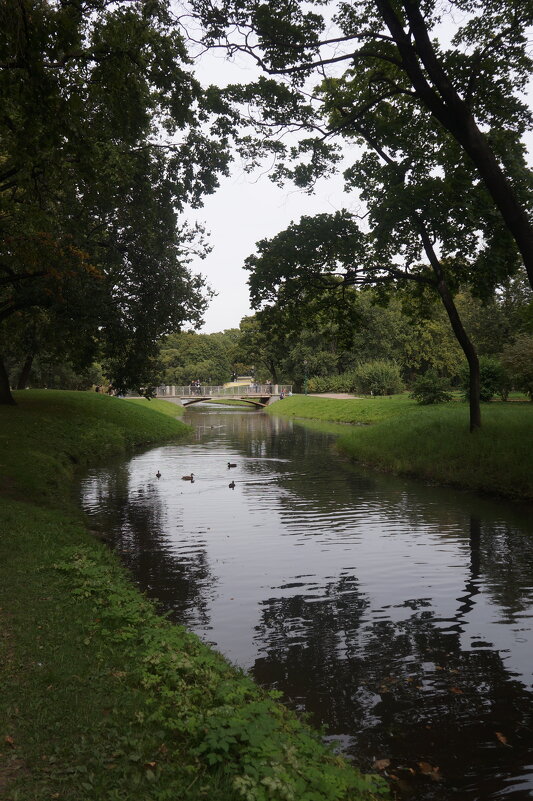 Таврический сад - zavitok *