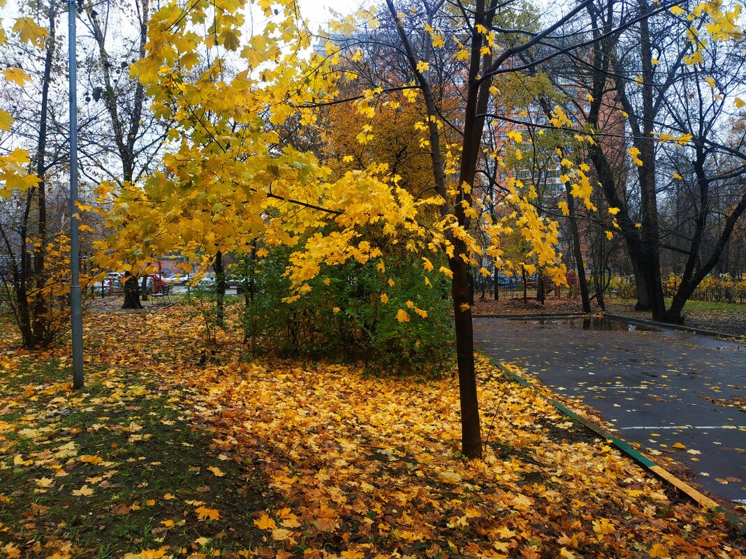 Осень в городе - Андрей Лукьянов Осень в городе - Андрей Лукьянов