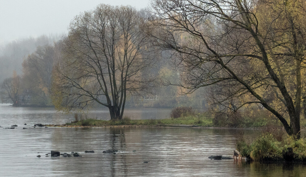 Осень. - Владимир Безбородов