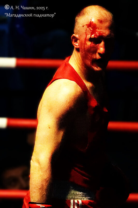 Магаданский гладиатор - Александр Чашин