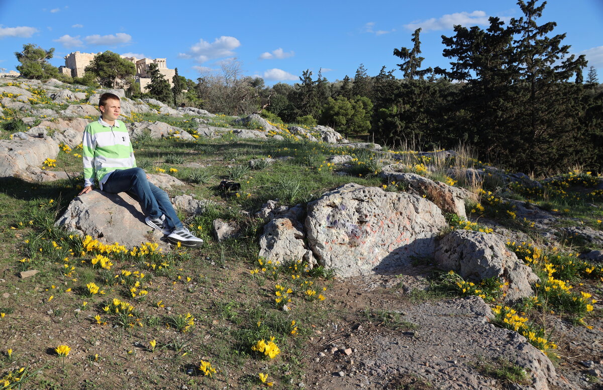 На полянке. - Оля Богданович
