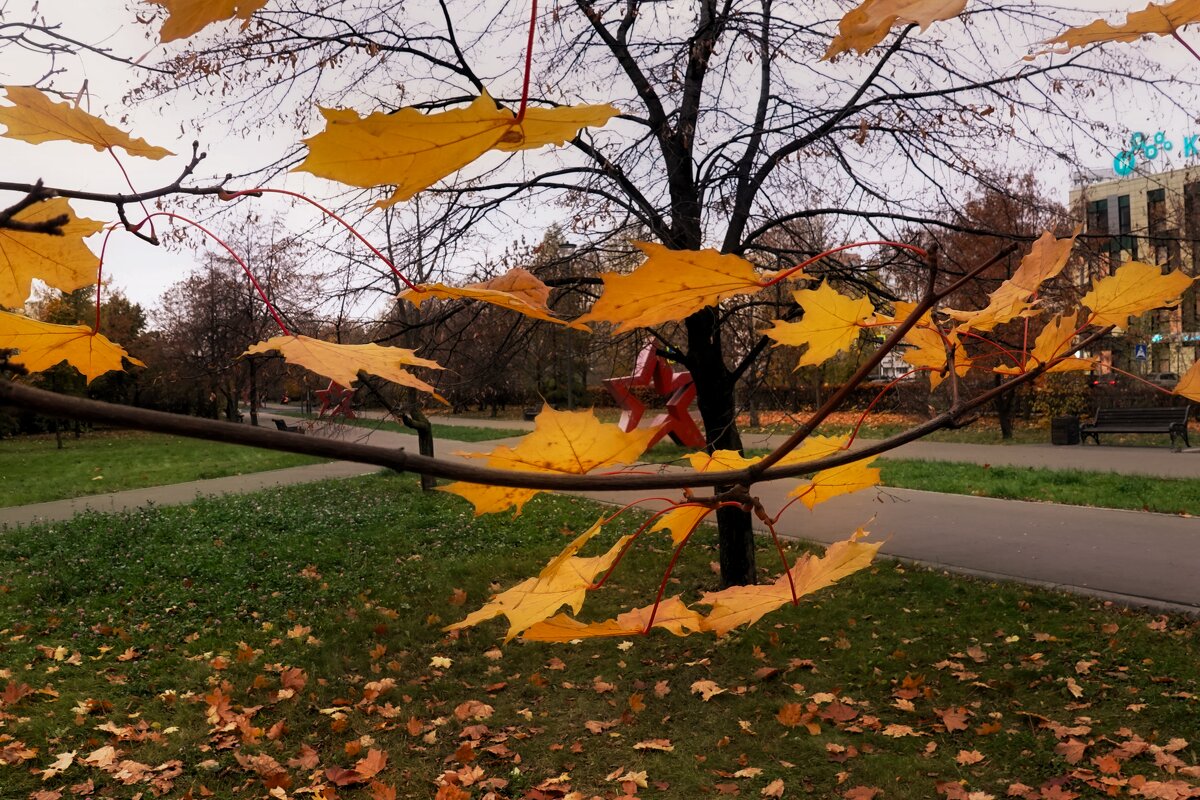 - Листья закружат и улетят - - Татьяна Помогалова - Листья закружат и улетят - - Татьяна Помогалова