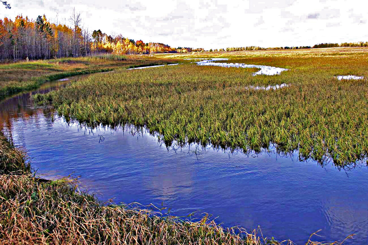Осень на протоке Девкина! - Владимир 
