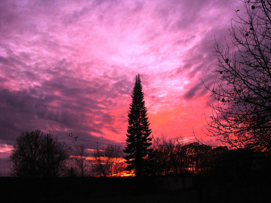 Октябрьский вечер - Людмила Смородинская