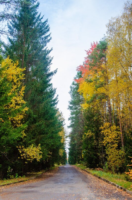 Осень - Галина Ложечникова