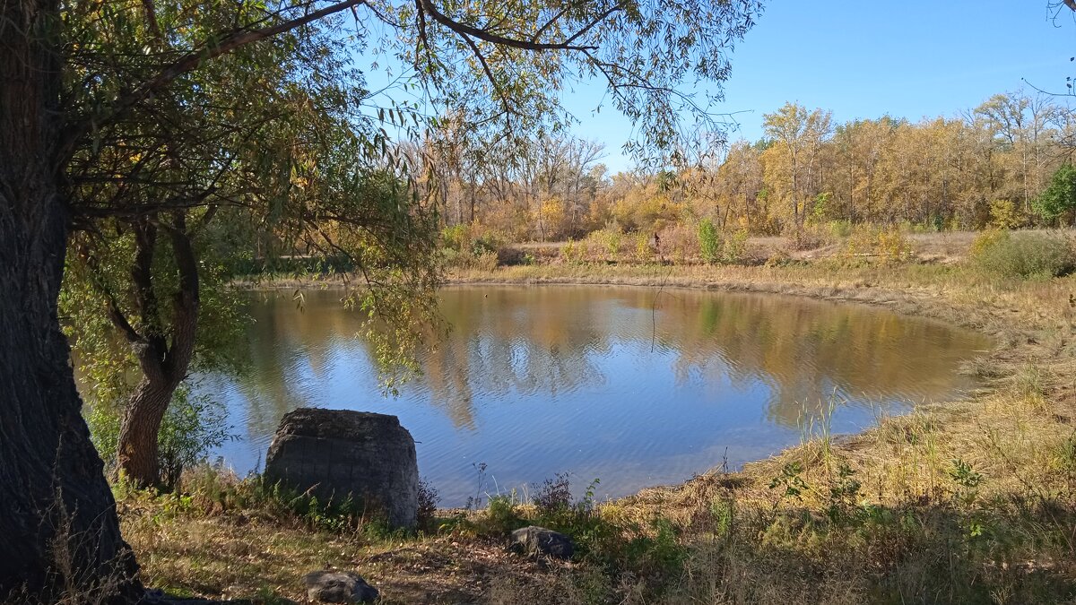 октябрь - Елена Шаламова