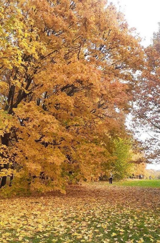 Осенью в Коломенском - Елена Семигина Осенью в Коломенском - Елена Семигина