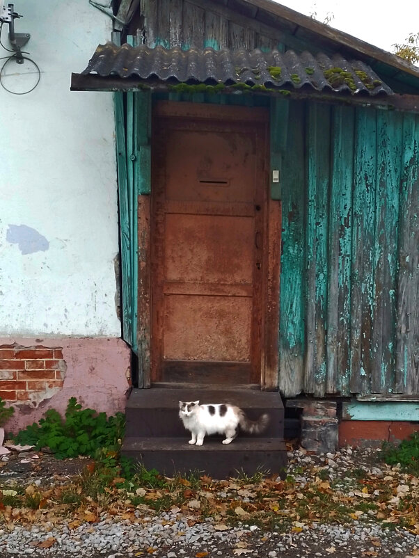 *** - Валентина Береснева