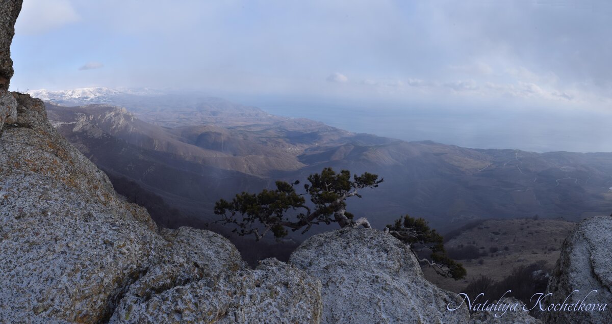 Природа Крыма - Amazing Cosmea