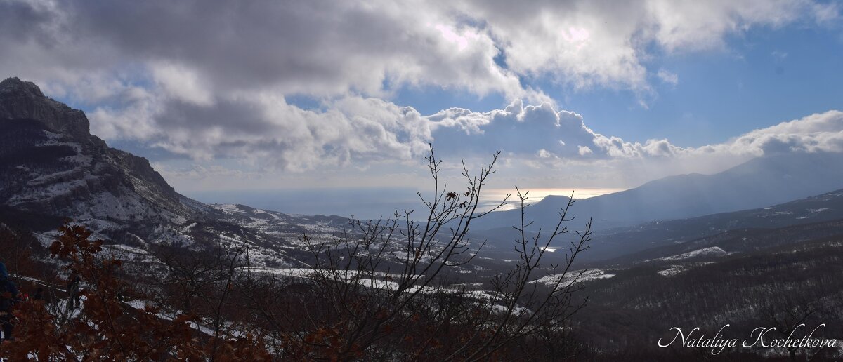 Природа Крыма - Amazing Cosmea
