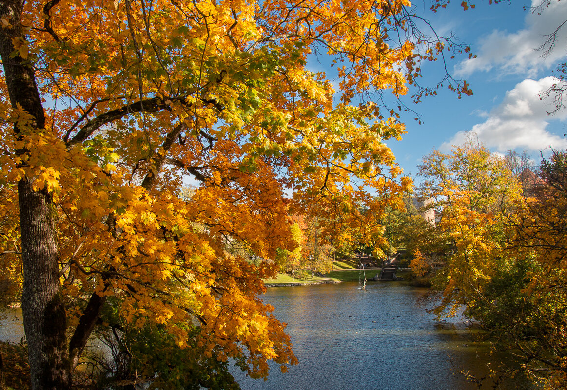*** - Геннадий Порохов