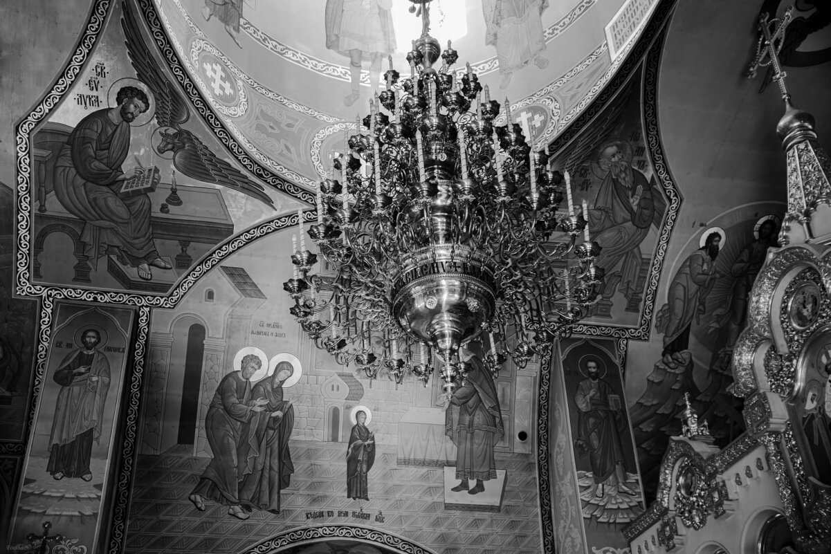 "-" - Светлана Фокша