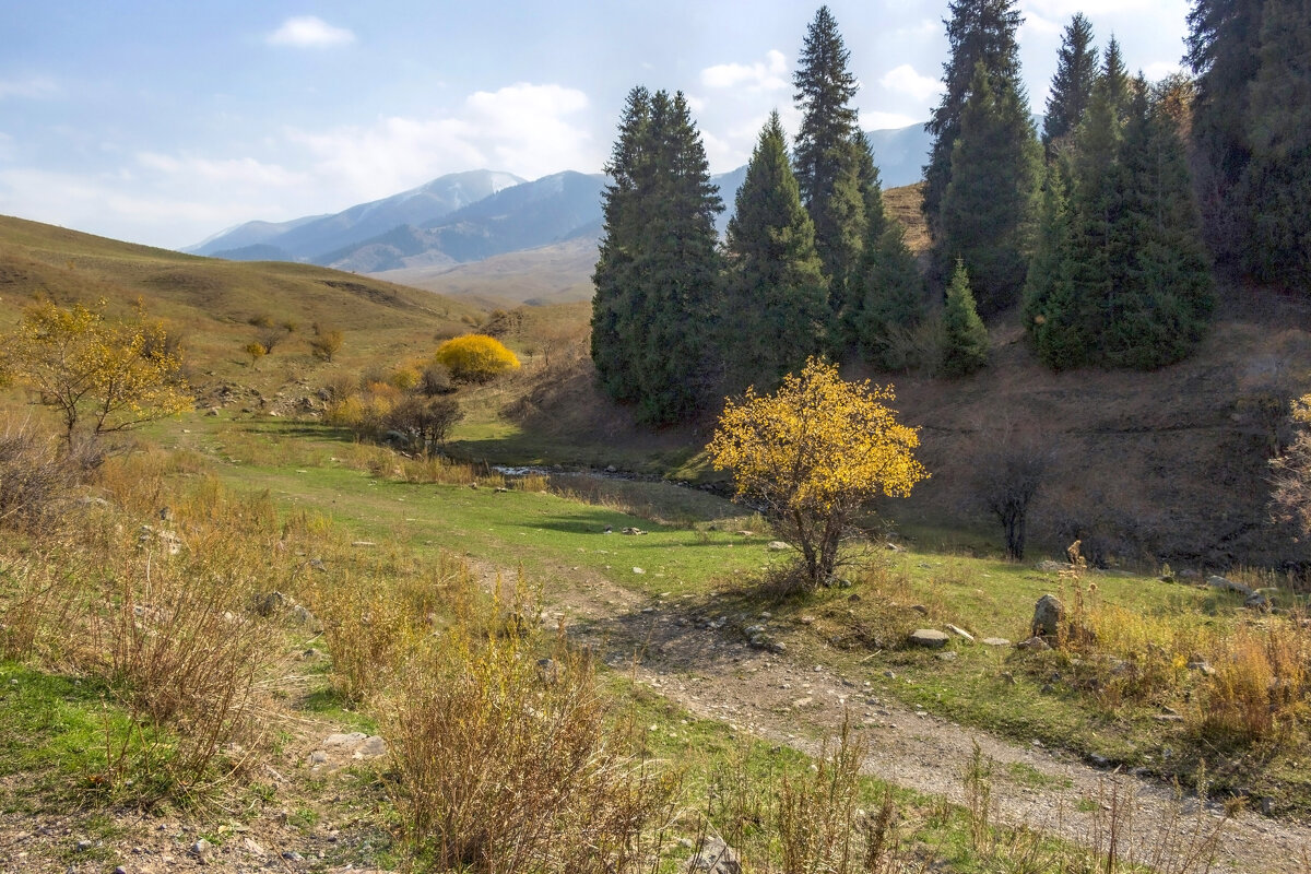 Погода радует,октябрь на исходе - LudMila 
