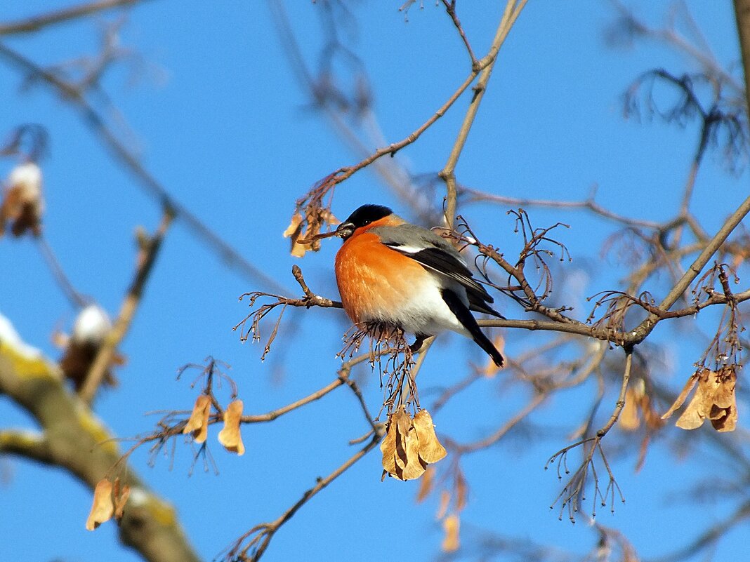 ** - Зоя Мишина