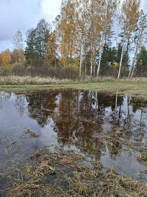 October mirror - silvestras gaiziunas gaiziunas