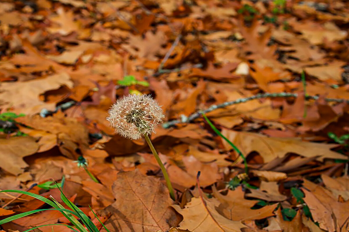 Лучше поздно,чем никогда. - Lucy Schneider 