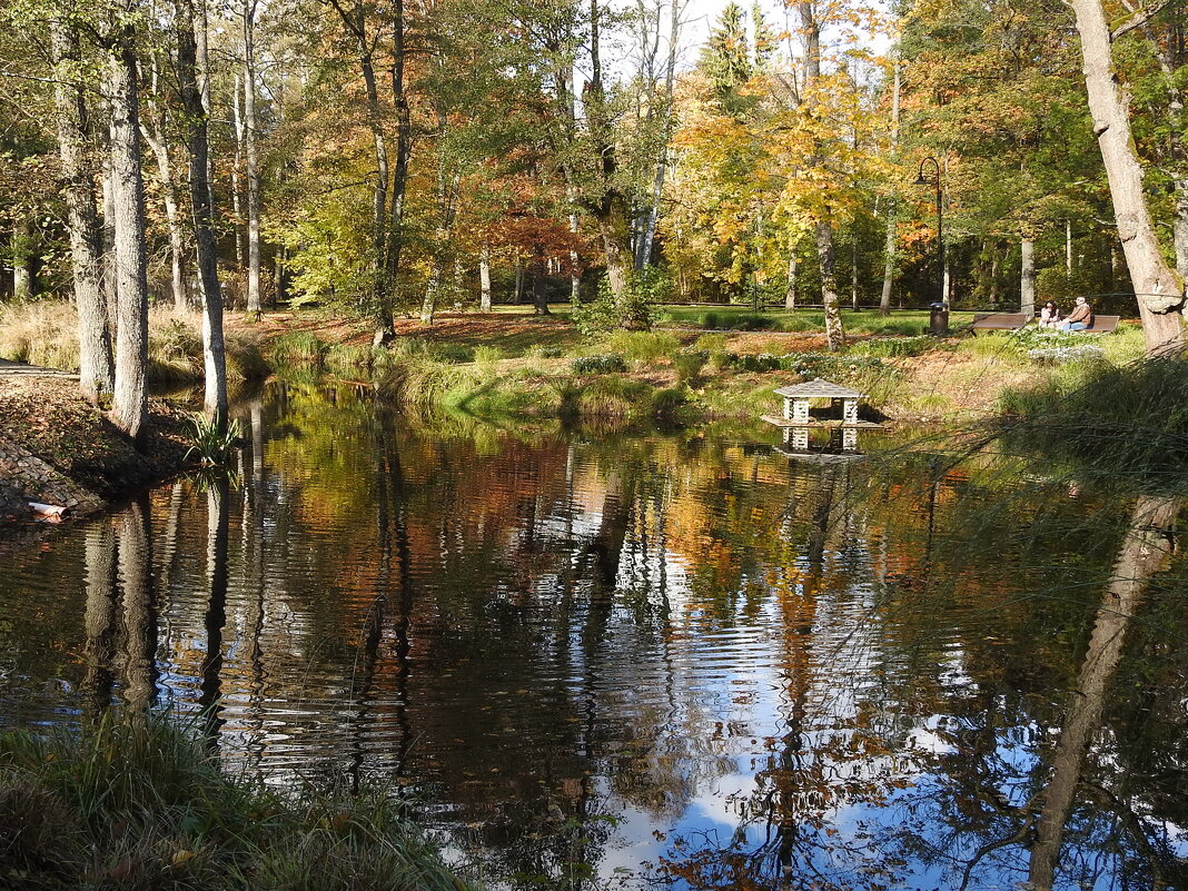 осень - ИННА ПОРОХОВА