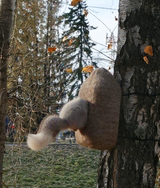 Посмотрю только , что там ! ) - Мила Бовкун