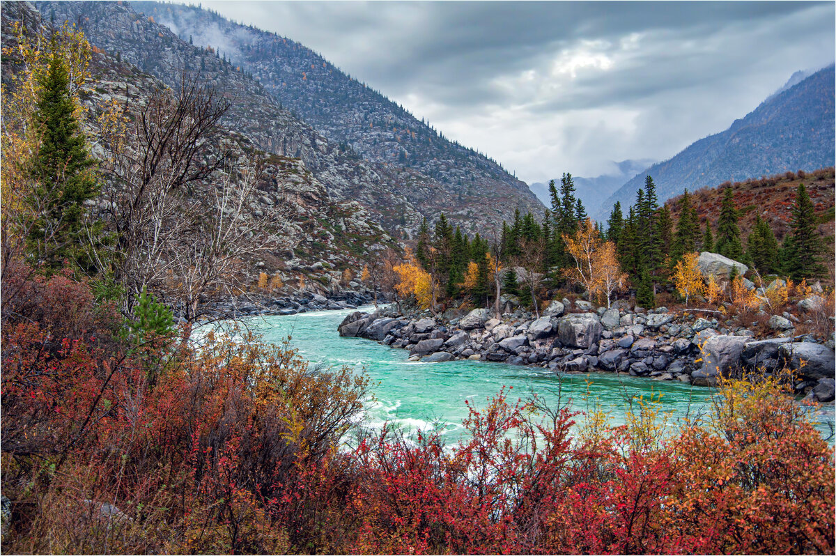 ***** - Алексей Мезенцев
