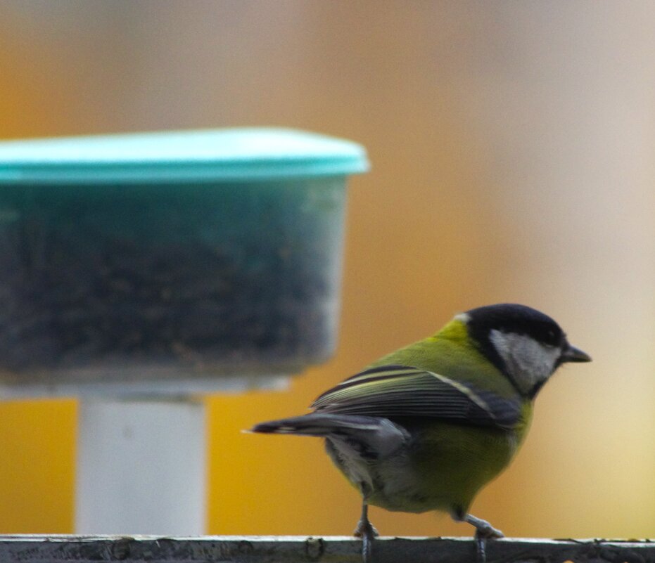 Столовая, увы, закрыта... на сегодня... - Юрий Куликов Столовая, увы, закрыта... на сегодня... - Юрий Куликов