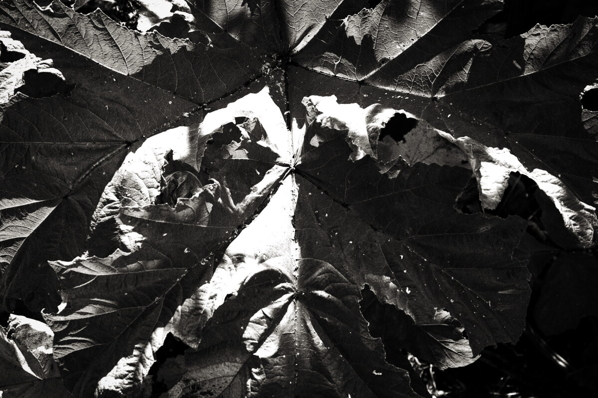 Фотография - Денис Безногов