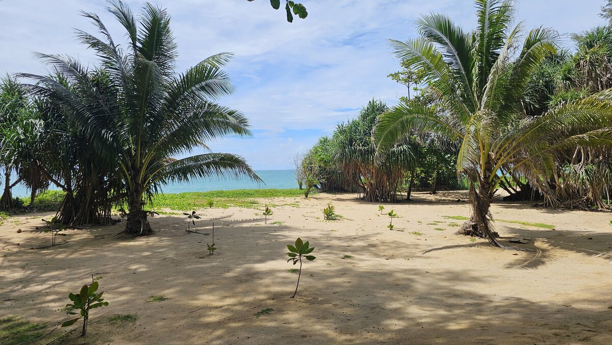 Таиланд. - ast62 